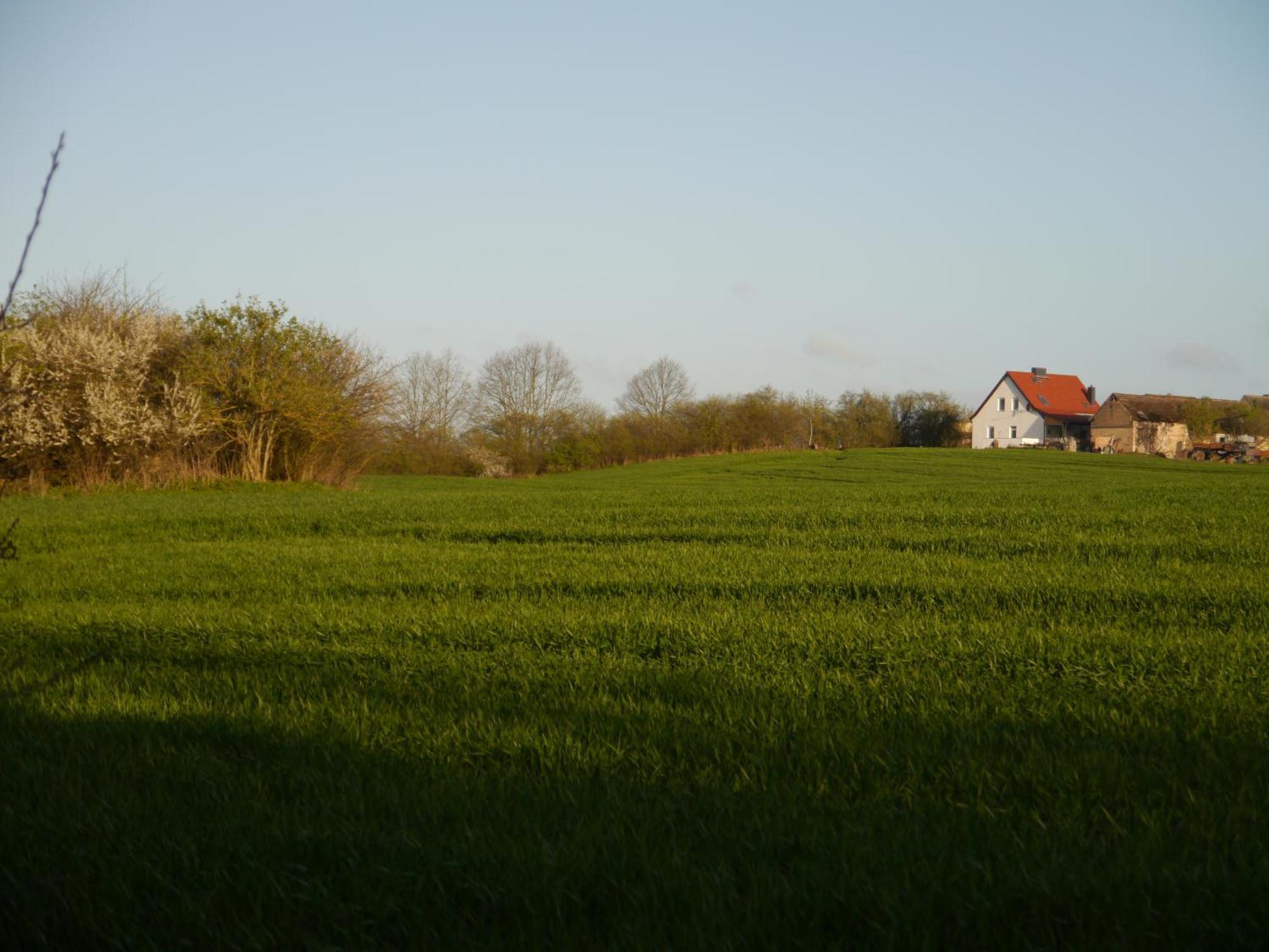Ferienhaus-Uckermarkblick Rosenow  Dış mekan fotoğraf