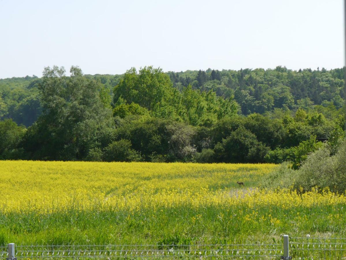 Ferienhaus-Uckermarkblick Rosenow  Dış mekan fotoğraf